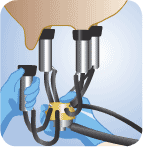 produtores de leite em xinguara